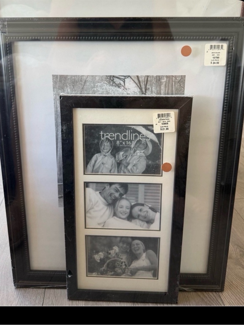 Picture Frames x2